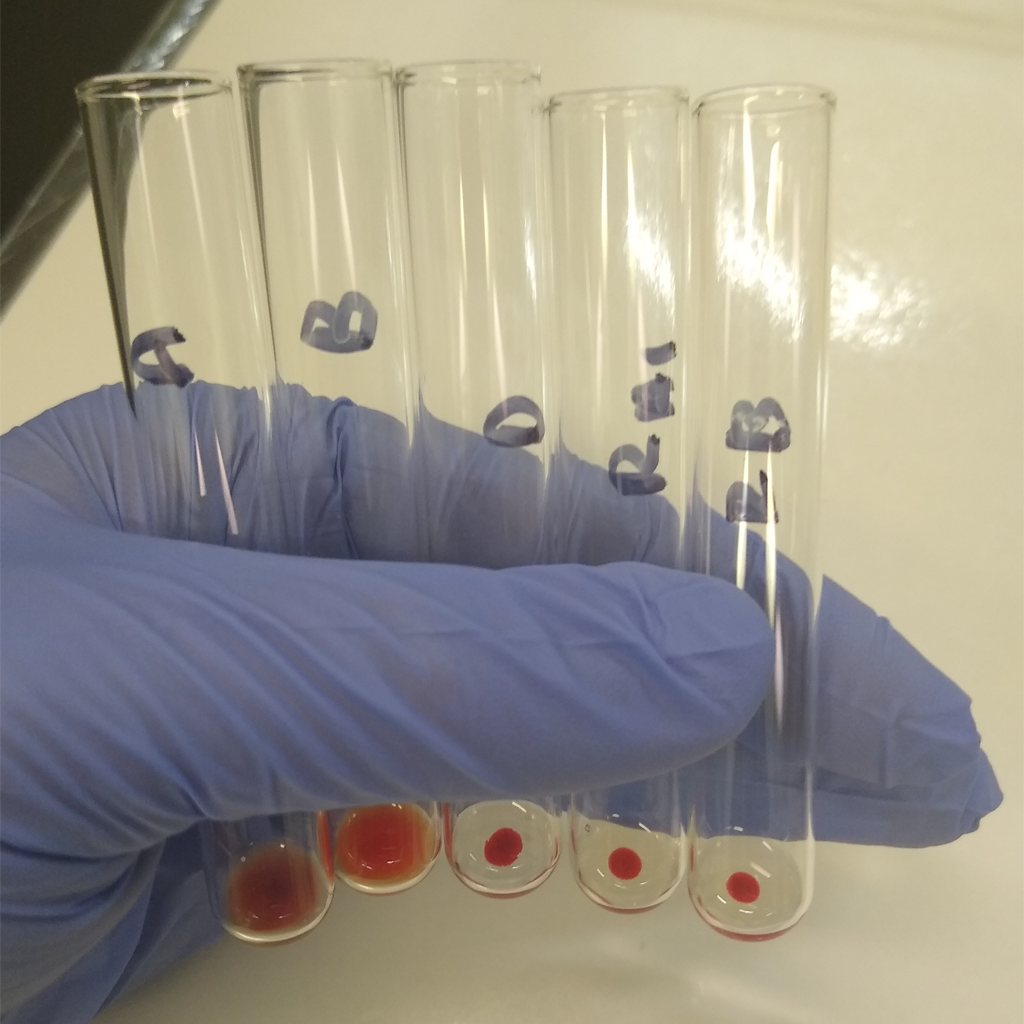 Lab Rhesuscope Course Packages